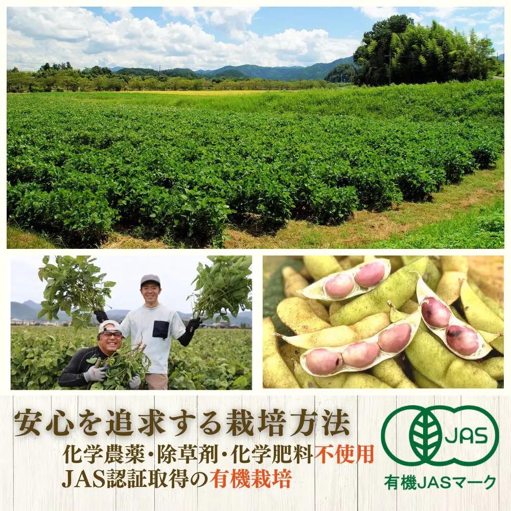 【令和8年10月中旬頃から11月上旬頃発送予定】日本遺産 丹波篠山市 JAS有機栽培 オーガニック黒枝豆（200ｇ×10袋）DRM001