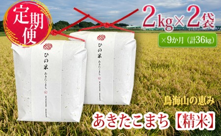 【先行予約】《定期便 9か月》 あきたこまち 4kg  精米 あきたこまち R8年産
