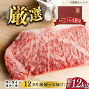 【ふるさと納税】【全12回定期便】【溢れる肉汁と濃厚な旨味】博多和牛サーロイン1kg（250g×4枚）《築上町》【株式会社MEAT PLUS】 [ABBP053] 370000円 37万円