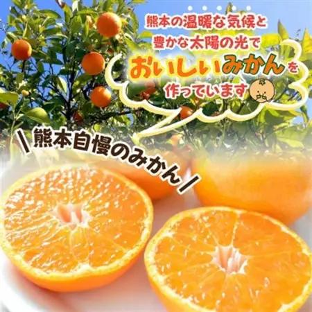 益城町産　温州みかん　約5kg【1352231】