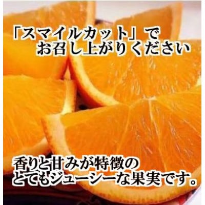 2026年3月出荷開始　完熟・果汁たっぷり!!「きよみ」約5kg　【C39−34】【1262235】