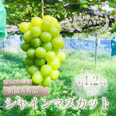 ぶどう先行予約!　シャインマスカット秀品　2房(約1.2kg)こだわり農家厳選!【配送不可地域：離島】【1676257】