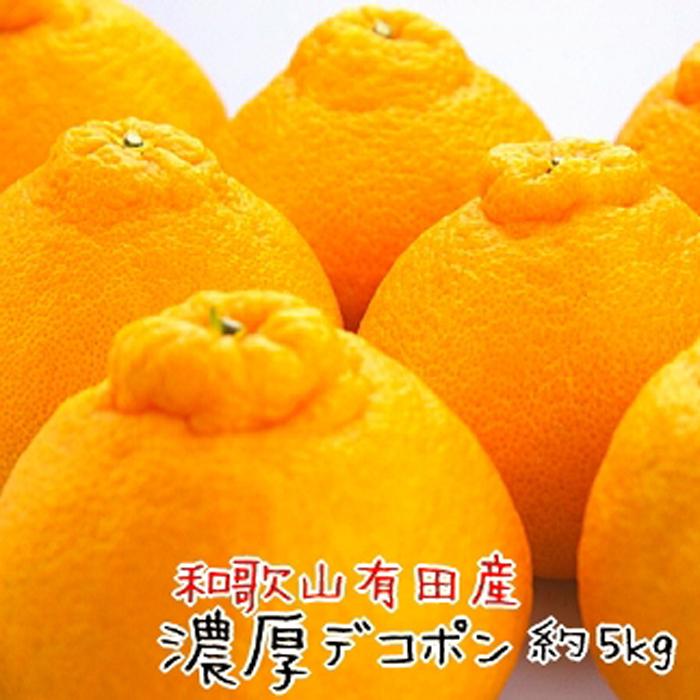 【ふるさと納税】和歌山有田の濃厚大玉デコポン 12～15玉 約5kg［先行予約］［MS79w］