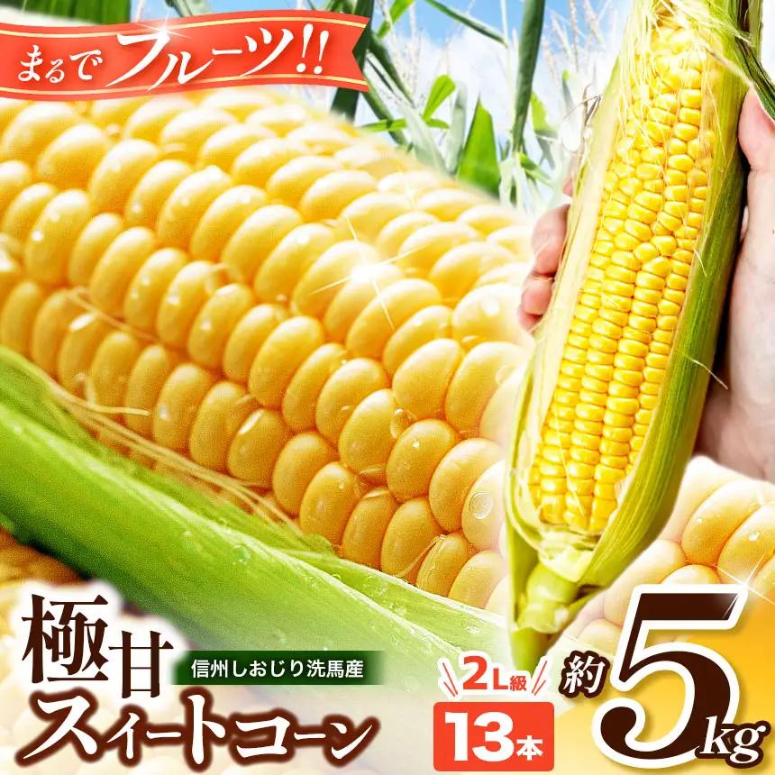 【2026年先行予約】 極甘スイートコーン 2Ｌ級 13本 約5kg （高原野菜の名産地　信州しおじり洗馬産）【7月末～8月中旬にかけて順次発送予定】
