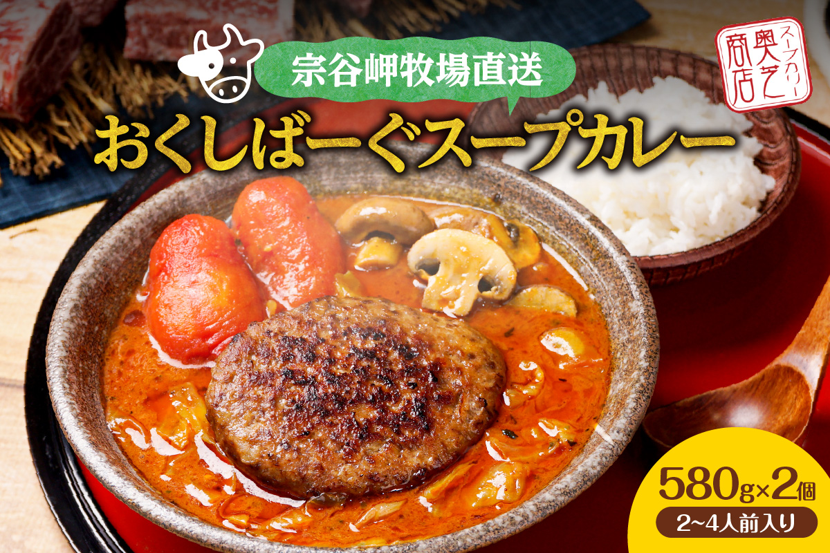 店舗人気No1！奥芝商店 宗谷岬牧場直送おくしばーぐスープカレー【580g×2個/2~4人前入り】