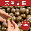 【ふるさと納税】【1.8kg】新栗ビックサイズ!!焼きたて!!天津甘栗　大粒サイズ　期間限定でお届けします。【1510517】