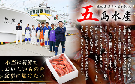【年3回お届け】 甘えび 合計約1.65kg (約550g ×3回) 天然・鮮度抜群！ 漁船直送！ 「共栄丸」 絶品甘海老をお届け！【定期便 甘海老 甘エビ あまえび アマエビ エビ 刺身 冷凍 産地