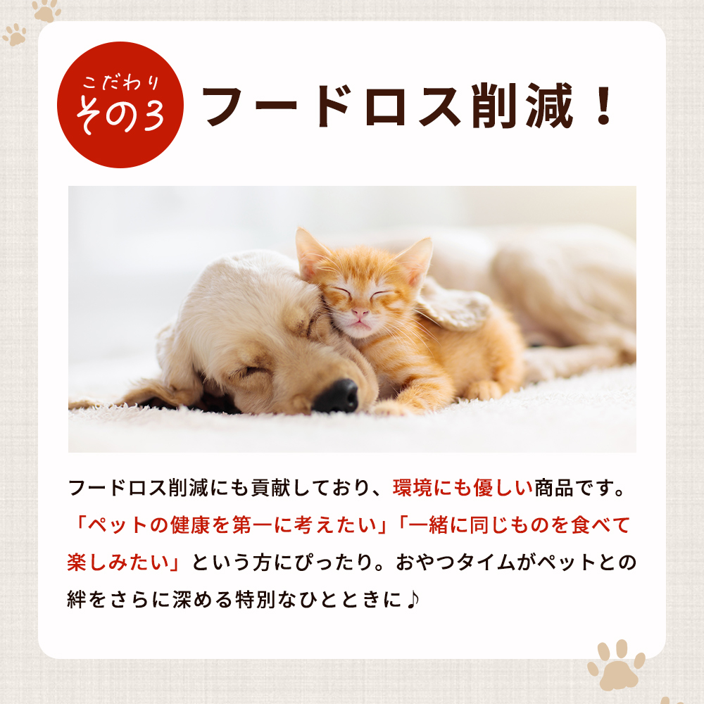 ＜CalWan(カルワン)＆CalNyan(カルニャン) 真鯛と野菜MIX 食べ比べセット 60g入り×6パック＞ 詰合せ ペットおやつ 手作り 愛媛県産 SDGs 人も食べれる 栄養満点 養殖真鯛 