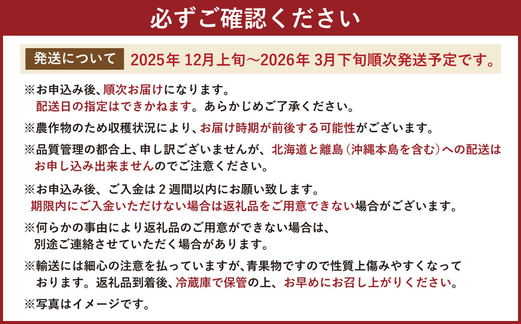福岡県産 あまおう 12-15粒 いちご 苺 フルーツ 国産