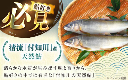 天然あゆ 18-20cm 10匹 / 恵那市 / 恵那物産館 [AUFS008]