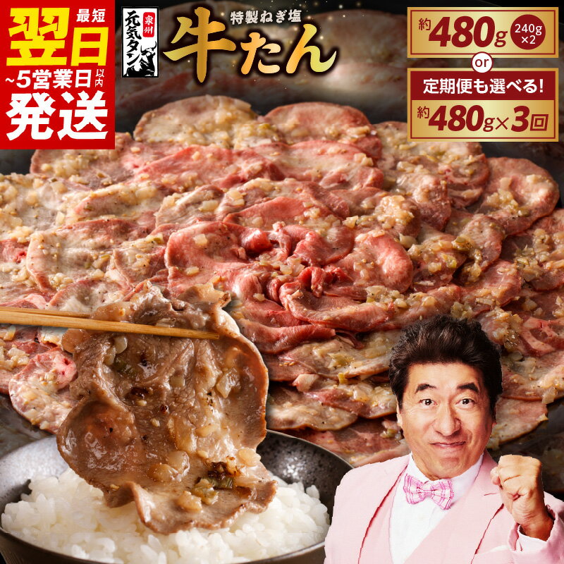 【ふるさと納税】＼最短翌日〜5営業日以内発送／ 【訳あり】 特製 ネギ塩 牛タン 発送時期が選べる 480g / 定期便 480g×全3回 毎月配送コース 小分け 牛肉 薄切り スライス サイズ 不揃い 味付け肉 たん 肉 ねぎ塩牛タン 冷凍 焼肉 BBQ 泉佐野市 送料無料 肉の泉佐野
