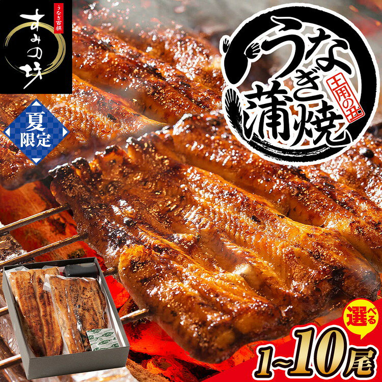 【ふるさと納税】＼夏限定／【選べる内容量】すみの坊 鰻の蒲焼 ハーフカット｜うなぎ ウナギ 個包装 小分け 晩ご飯 夜ご飯 おかず お惣菜 一品料理 逸品 丑の日 土用の丑の日 団らん ご馳走 ごちそう お祝い ハレの日 簡単 特製 グルメ お取り寄せグルメ