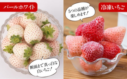 いちご イチゴ 白石町 フルーツ 果物 食べ比べ 佐賀県