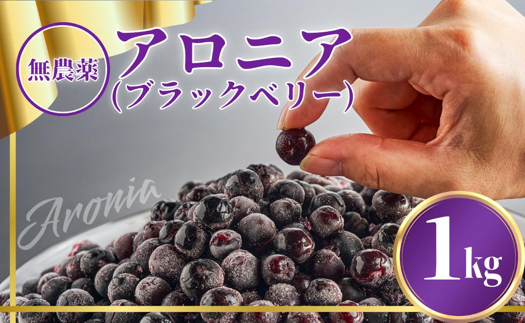 
            アロニア（ブラックベリー）1kg ベリー 冷凍便 果物 果実 【JA小松市】石川県 小松市
          