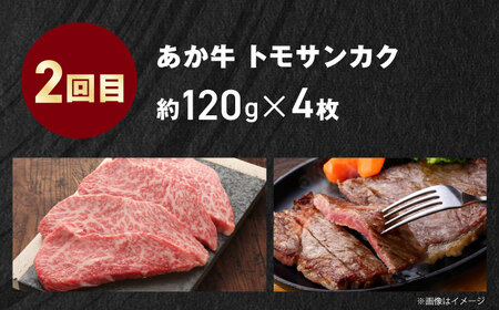 【全3回定期便】【GI認証】くまもとあか牛 食べ比べ F リブロース トモサンカク 赤身モモブロック【有限会社 三協畜産】[AYCQ031]