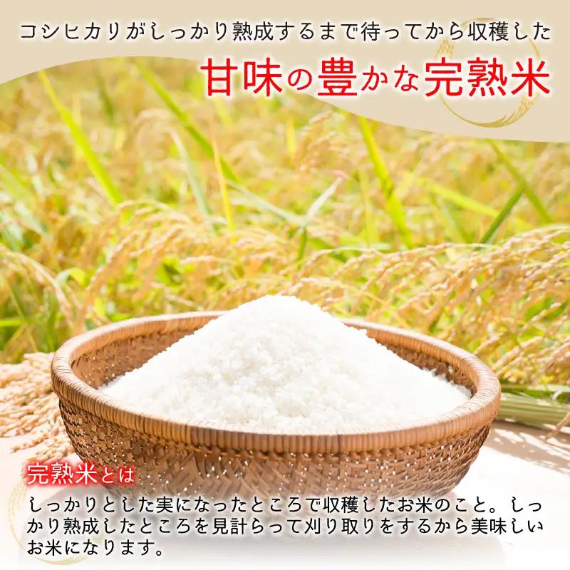 【先行予約】【令和8年産 新米】くらもち完熟米 コシヒカリ 白米 10kg（5kg × 2袋）