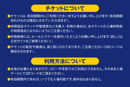 【 USJ 】ユニバーサル・スタジオ・ジャパン　1デイ・スタジオ・パス　大人(12歳以上) _OS294-0001