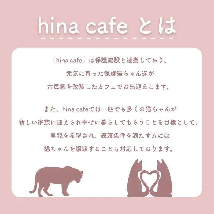 猫ルーム1時間利用チケット3枚 ／ hinacafe 猫カフェ 保護猫 遊び 触れ合い 写真撮影 まったり 癒し 山口県 No.203