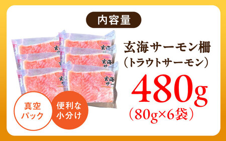 玄海サーモン柵80g×6袋 / 佐賀県 / 株式会社九州特産品販売 [41AECT008]