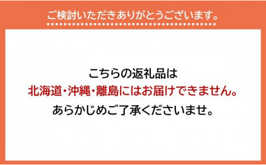 310.タカミメロン　大玉3～4玉入り　5kg以上　1箱　※2025年7月上旬～中旬　※北海道・沖縄・離島への配送不可