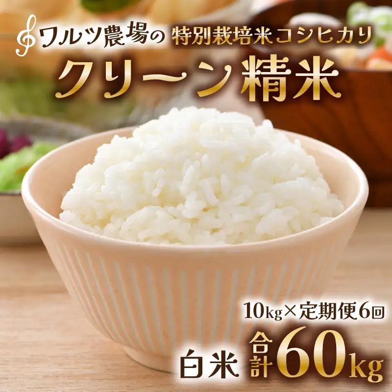 【先行予約】【令和8年産 新米】《定期便6回》ワルツ農場のコシヒカリ クリーン精米 10kg（5kg×2袋） 特別栽培米【納得の美味しさ】減農薬 有機肥料使用 / お米 ご飯 白米 発送直前 精米 つ