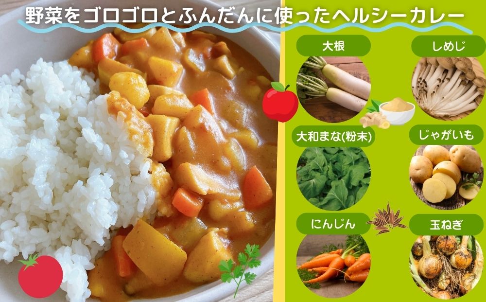 定期便 3ヶ月 農家のたっぷり野菜カレー 30個 月1回 ／ふるさと納税 山口農園 有機野菜 オーガニック 伝統野菜 レトルト 詰め合わせ ギフト カレーセット スパイス 飯 キャンプお取り寄せ 奈良県 宇陀市  おかず ご当地 簡単 お歳暮 暑中見舞い 時短 保存食