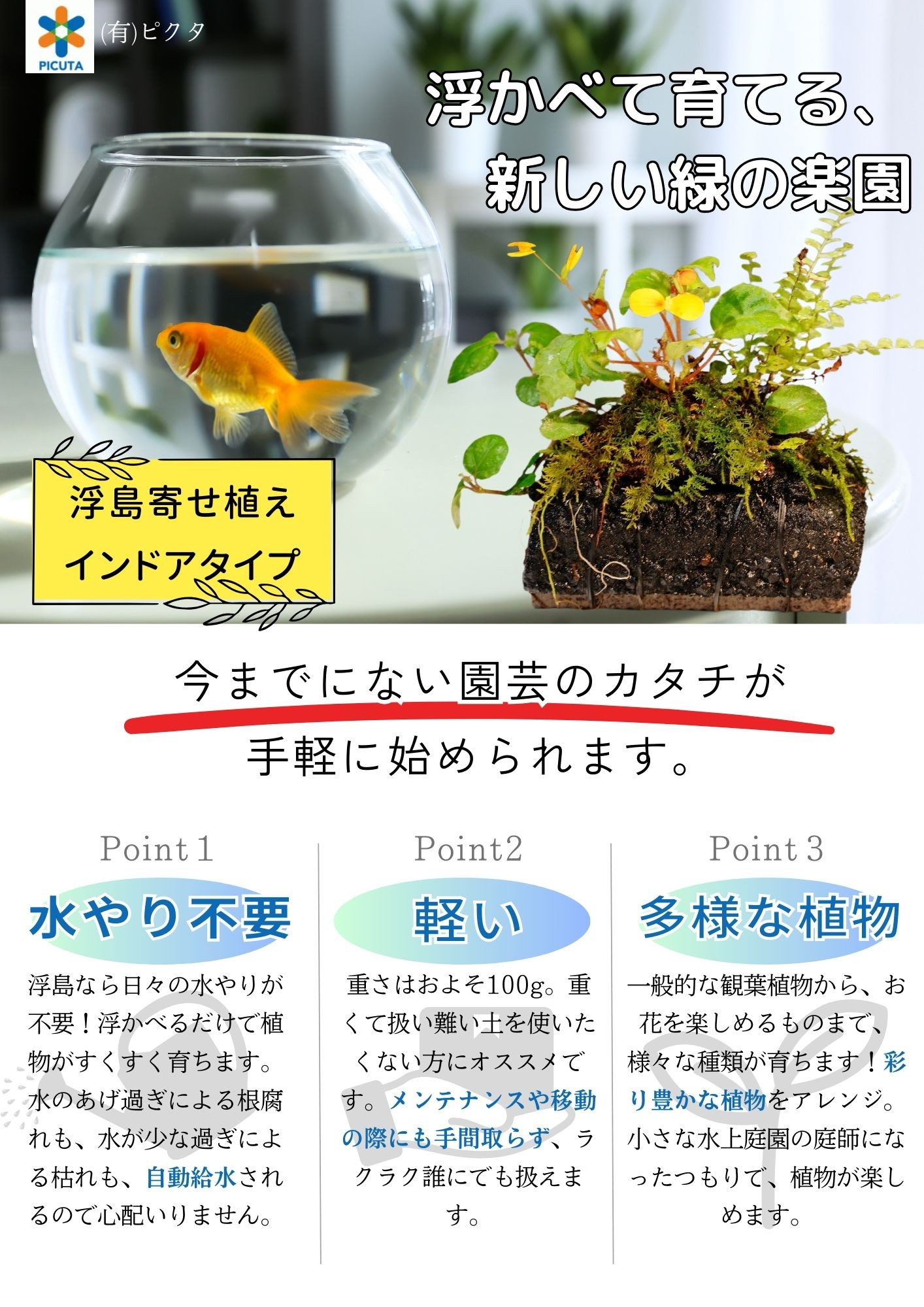 ビオトープ
