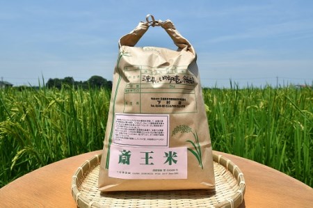 1118　三重県産いのちの壱「斎王米」10kg　コメ お米 10キロ 白米 ご飯 伊勢市産 伊勢志摩 精米発送 粘りが強い 甘味 旨味 お弁当 おにぎり 冷めてもおいしい 米粒が大きい 下村農園