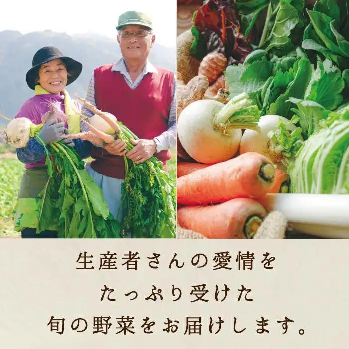 【12カ月定期便】真庭あぐり野菜セット カット野菜が1品入る 10～11品 平飼い卵付き / 産地直送 農家 お試し 岡山県 新鮮 あぐりガーデン 国産 【配送不可地域：北海道／沖縄県／離島】 【ju