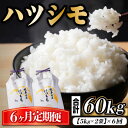 【ふるさと納税】【毎月定期便】岐阜県産ハツシモ　10kg(精米5kg×2袋)全6回【4059532】