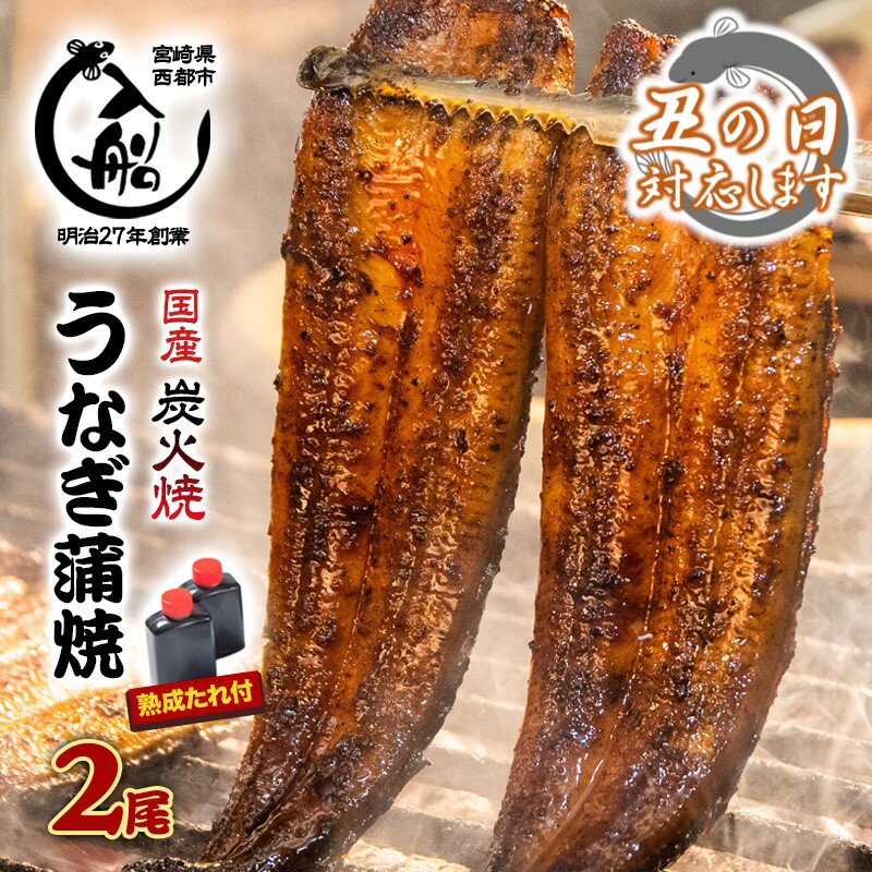 【ふるさと納税】炭火焼一筋130年「うなぎの入船」かば焼2尾(熟成たれ付）国産 うなぎ 鰻 手焼き 備長炭 お惣菜 小分け 真空パック 送料無料 さいとし サイト 丑の日対応中