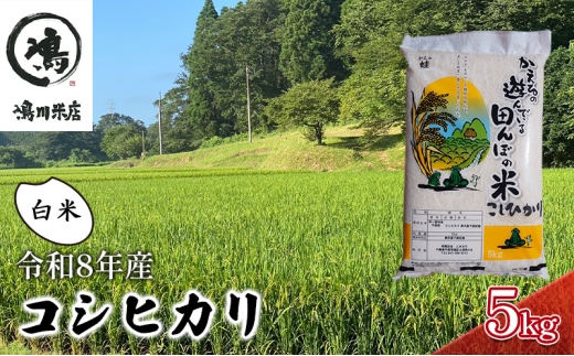 【先行予約・令和8年産】 コシヒカリ　白米　5kg お米 精米 粘りつやつや 甘み 美味しい 新鮮 [№5346-0196]