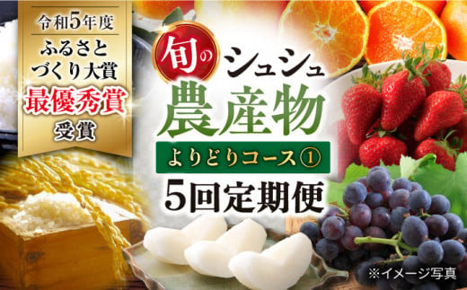 【5回定期便】シュシュの農産物よりどりコース1（ いちご ぶどう 梨 お米 みかん ）/ イチゴ 苺 ブドウ 葡萄 なし ナシ 米 コメ こめ 白米 ミカン 蜜柑 フルーツ ふるーつ 果物 くだもの フルーツ定期便 / 大村市 / おおむら夢ファームシュシュ[ACAA082]