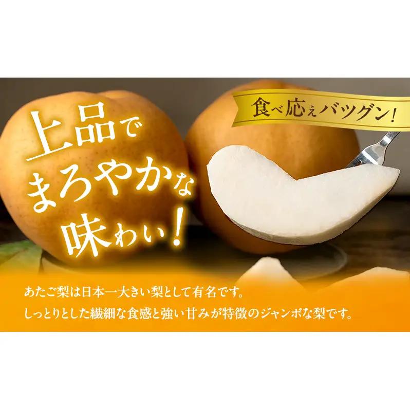 梨 2026年 備前横綱梨（あたご梨）3玉（1玉1～1.4kg）贈答箱  岡山県産 梨