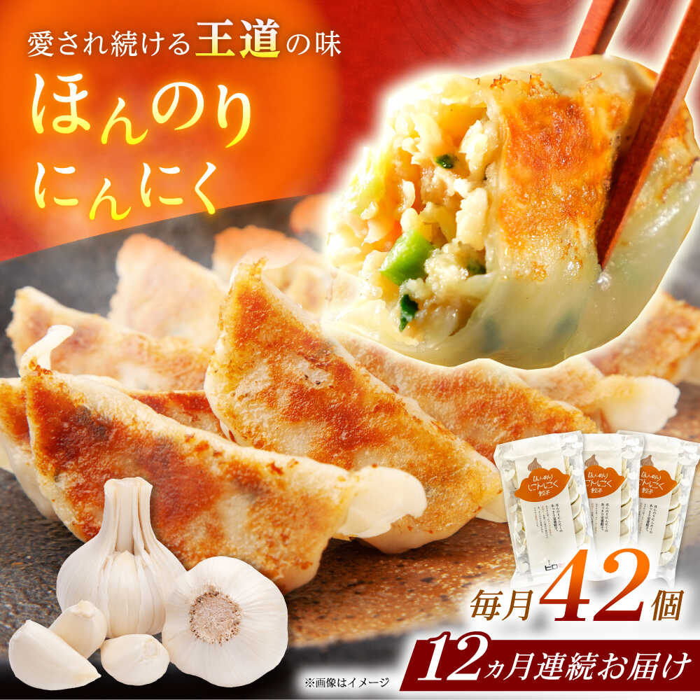 【ふるさと納税】【全12回定期便】【3パック】餃子屋ヒロの ほんのりにんにく餃子【餃子屋ヒロ】開成町 餃子 点心 惣菜 冷凍[BDAS015]