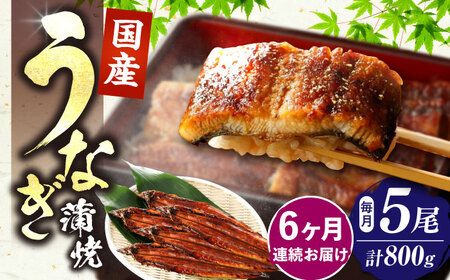 【全6回定期便】福岡県産 うなぎ 蒲焼 大5尾 合計 800 g（1尾あたり 160g以上）[VAD018] 国産 うなぎ