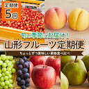 【ふるさと納税】【定期便5回】ちょっとずつ美味しい果物食べ比べ定期便 【令和7年産先行予約】FU22-968くだもの 果物 フルーツ 山形 山形県 山形市 お取り寄せ 2025年産