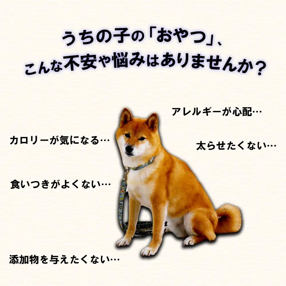 【定期便2回】ペット用馬刺しジャーキー100g