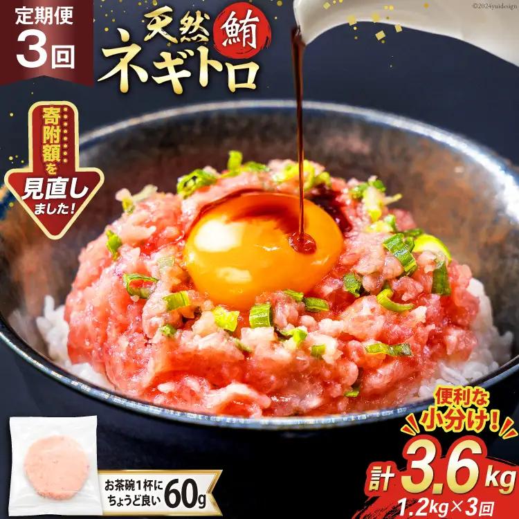 【ネギトロ】3回 定期便 天然 マグロ ネギトロ まぐろたたき 60g 20個 計1.2kg