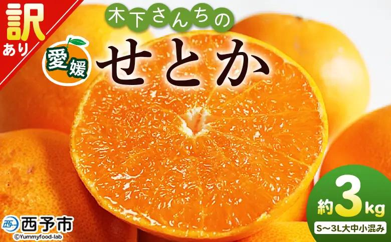 ＜木下さんちのせとか 訳あり 約3kg（S～3L大中小混み）＞ 訳アリ 家庭用 自宅用 柑橘 ミカン みかん 蜜柑 果物 くだもの フルーツ 国産 特産品 木下農園 愛媛県 西予市【常温】『2027年2月下旬～3月下旬に順次出荷』MKS0010
