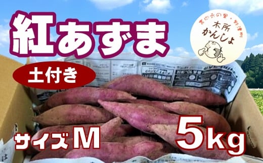 木所かんしょ（紅あずま）５㎏【栽培期間中化成肥料不使用】土付き さつまいも Mサイズ