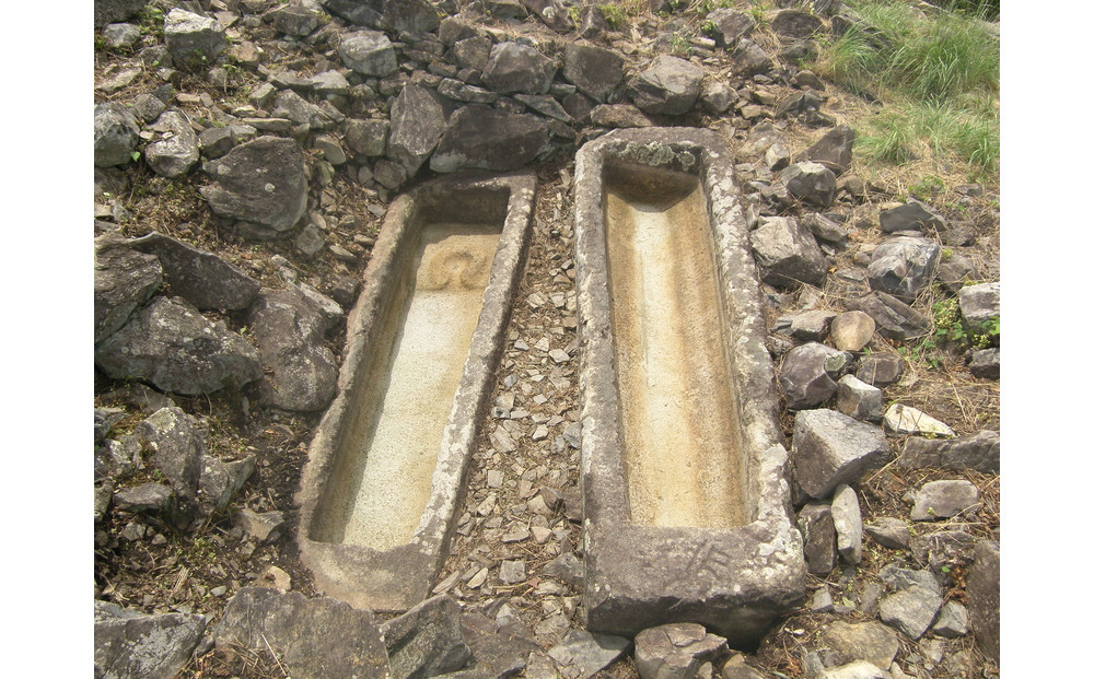 文化財専門員と行く！石清尾山古墳群（峰山地区）ガイド見学ツアー 372013_KY003