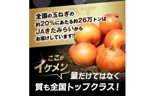 【2027年2月中お届け】JAきたみらい産 玉ねぎ Lサイズ以上 10kg ( タマネギ たまねぎ 野菜 )【210-0003-2026】