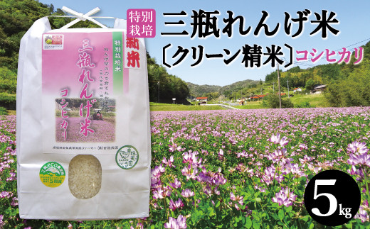 〈クリーン精米〉特別栽培 三瓶れんげ米 コシヒカリ 5kg【令和6年産 先行予約 こしひかり お米 5kg 2024年産 特別栽培米 エコロジー米 無化学窒素肥料 減農薬米】