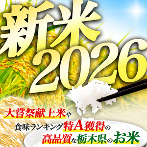【先行予約】栃木県 下野市 食べ比べセット（コシヒカリ / とちぎの星 / ミルキークイーン / ゆうだい）各5kg 計20kg 米																 																	