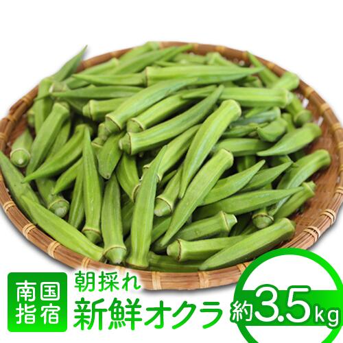 【ふるさと納税】＜期間限定＞夏の元気の源！朝採れ新鮮いぶすきオクラ(約3.5kg)おくら オクラ 豆 野菜 鹿児島県 そうめん 納豆 キムチ 【指宿促成青果】