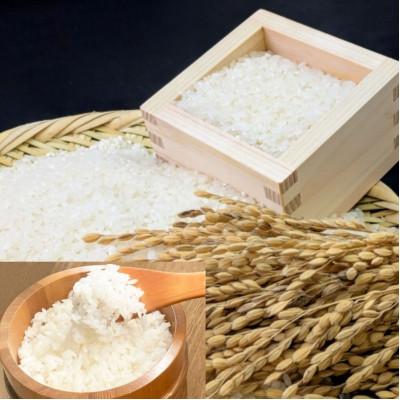 ふるさと納税 宮城県 【令和7年産】宮城県産　無洗米ひとめぼれ　10kg(5kg×2袋) |  | 02