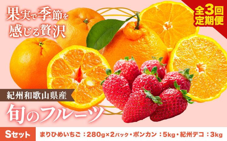 【発送月固定定期便】紀州和歌山県産 旬のフルーツ (いちご・ポンカン・紀州デコ) 全3回 Sセット 魚鶴商店《1月上旬-3月下旬頃出荷》 和歌山県 日高町 まりひめ いちご ポンカン 紀州デコ 不知火
