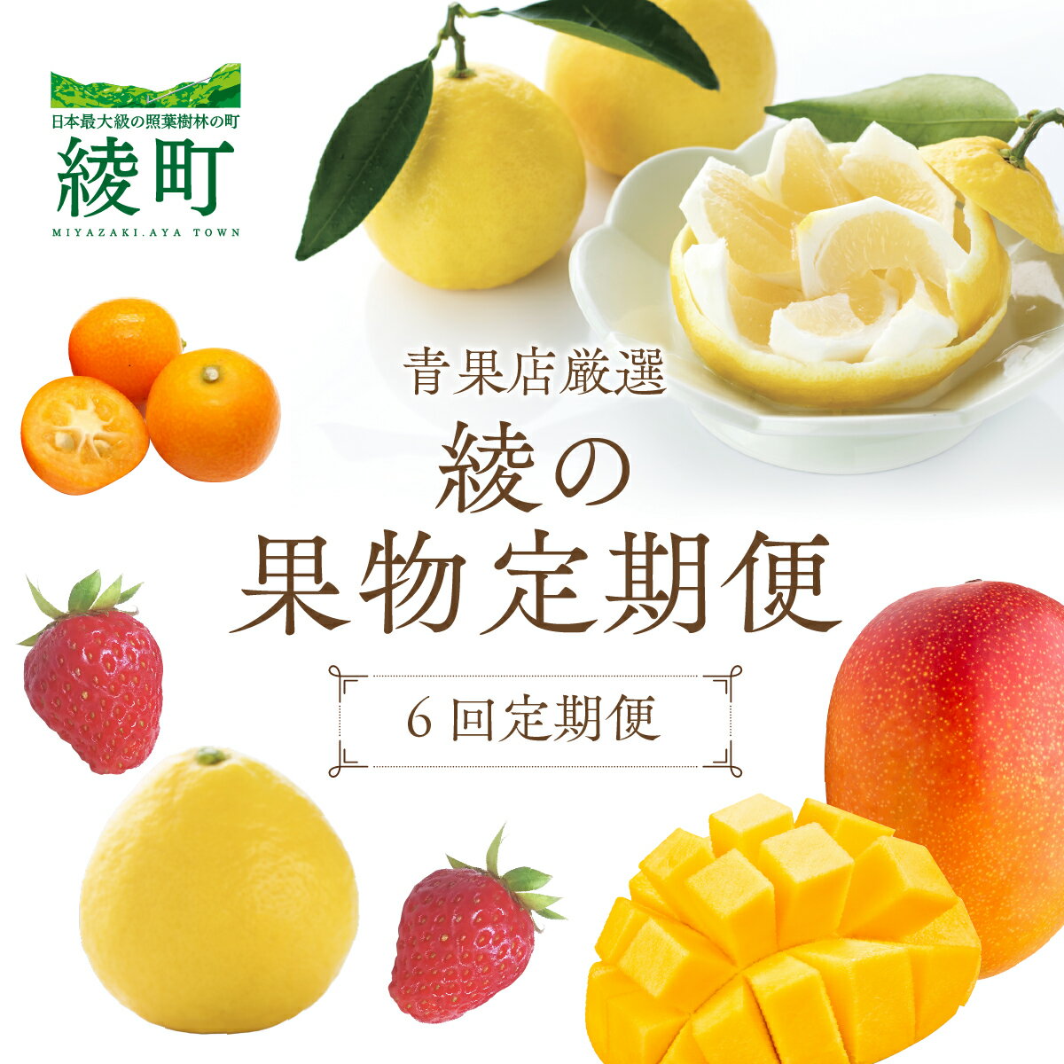 【ふるさと納税】【全6回お届け】宮崎県綾町産 果物定期便 [X22]　野菜定期便 果物定期便 野菜 セット 詰め合わせ 定期便 野菜 果物 定期 送料無料