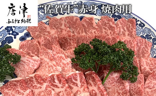 
佐賀牛赤身焼肉用 800g 牛肉 ギフト 「2023年 令和5年」
